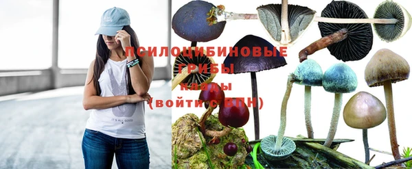 марки lsd Балабаново