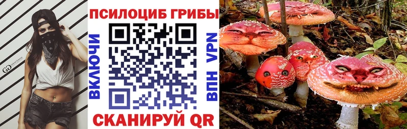 Галлюциногенные грибы Cubensis  наркота  Лагань 